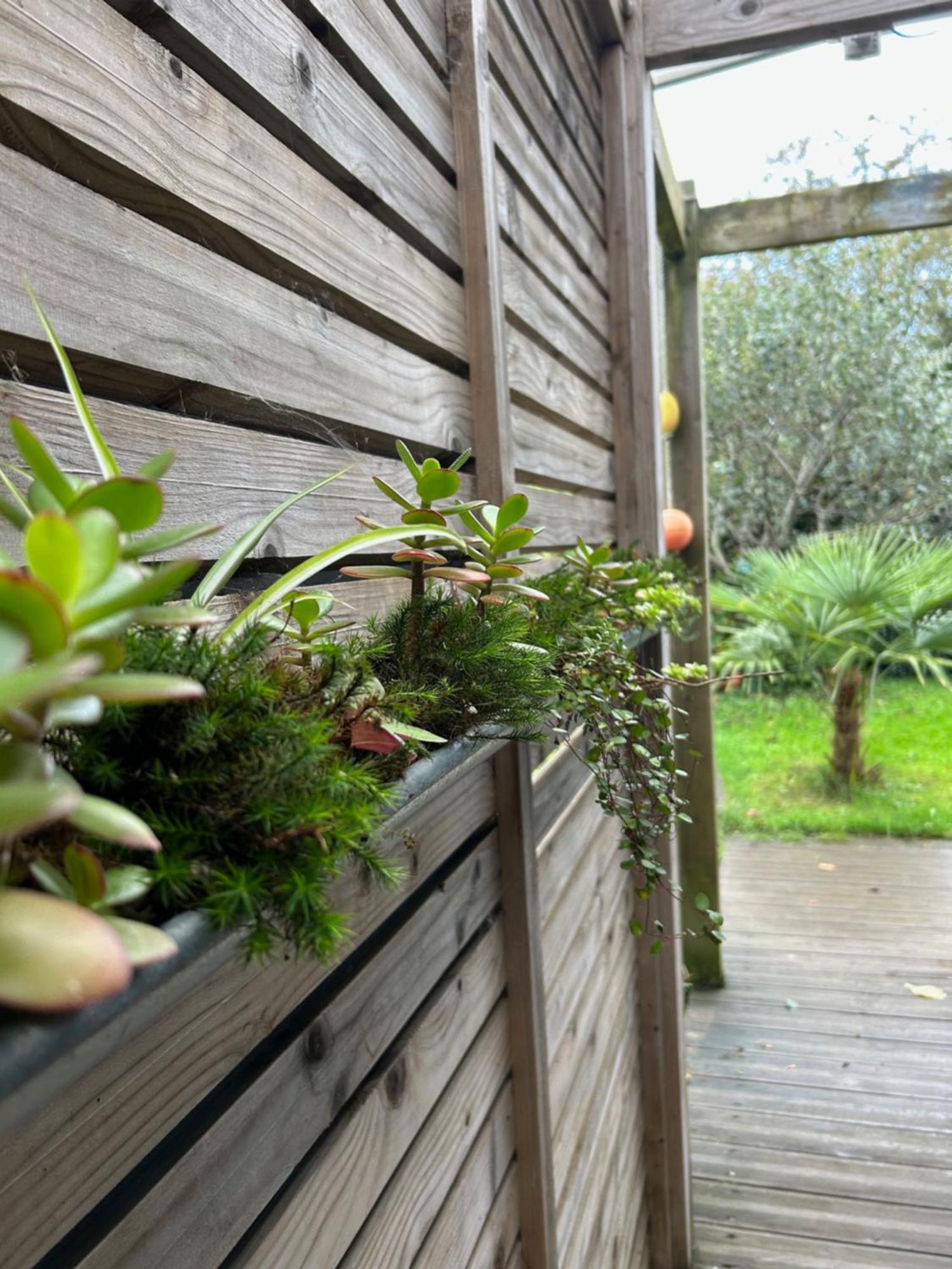 Gite Bambou Saint-Lunaire Exterior foto
